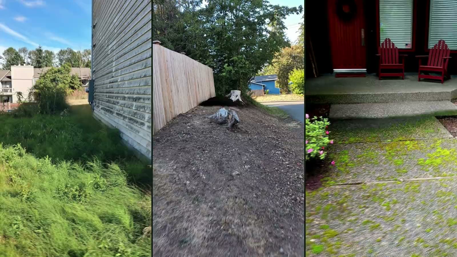 Three of their jobs side by side: an overgrown side yard, a bare dirt slope by a fence and a mossy front walkway.