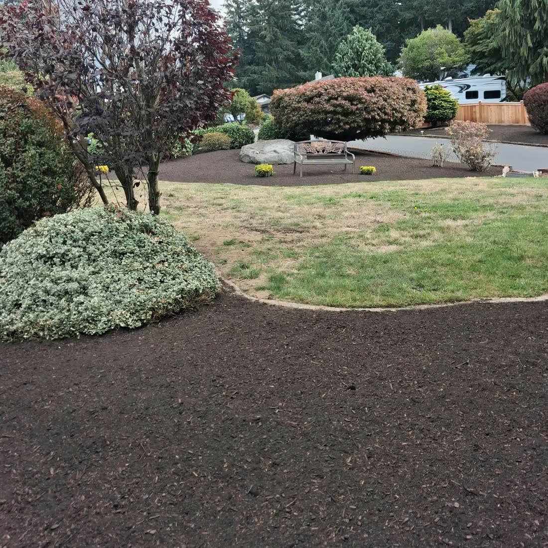 A front yard after a cleanup: fresh dark beds edged around a lawn, trimmed shrubs and a bench.