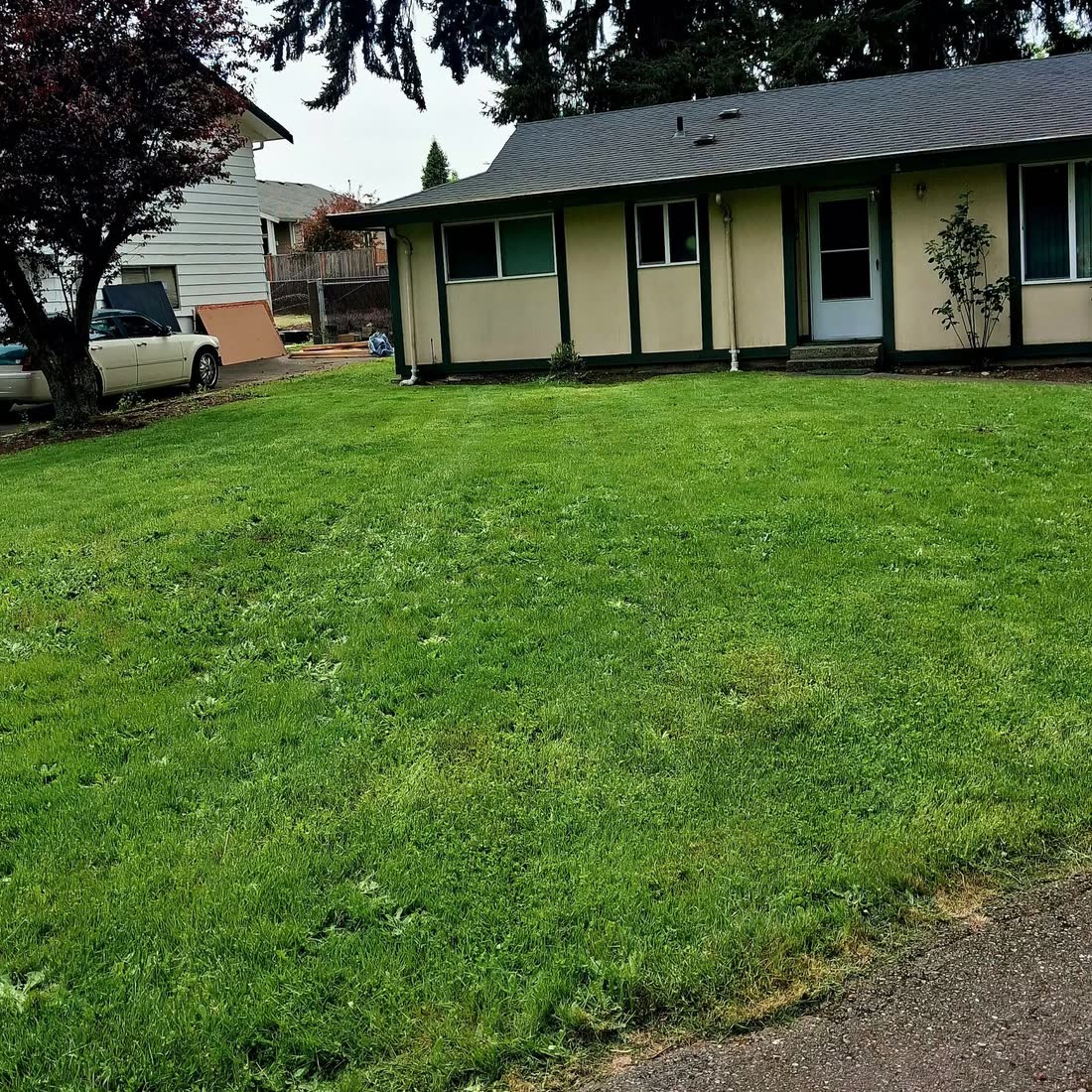 A freshly mowed green lawn in front of a cream house.