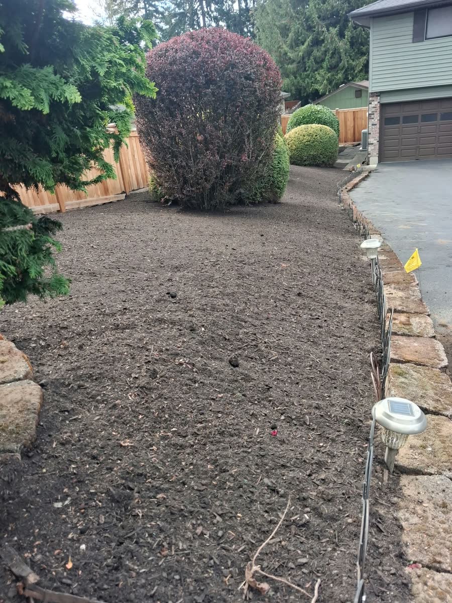 A cleaned bed along a driveway with a red shrub and stone edging.