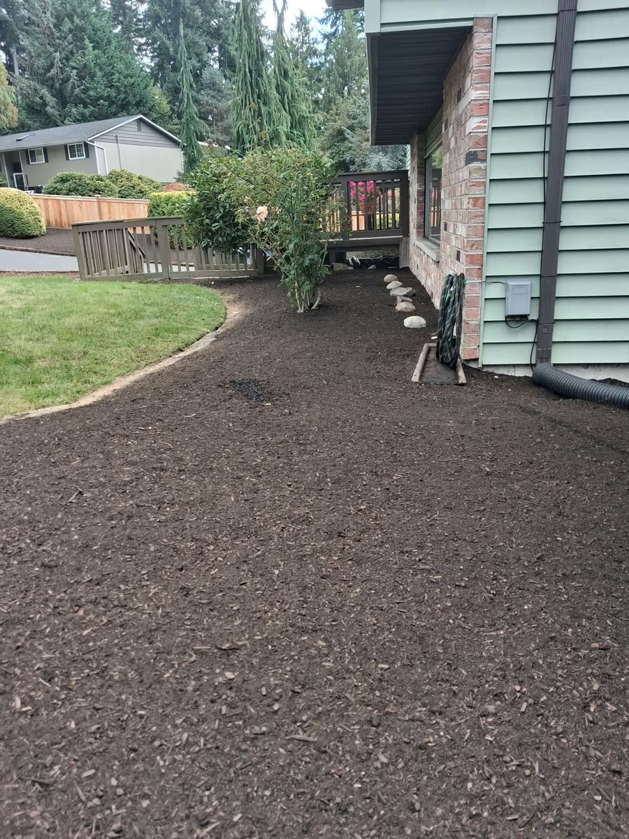 A cleaned-up bed running along the side of a house to the back yard.