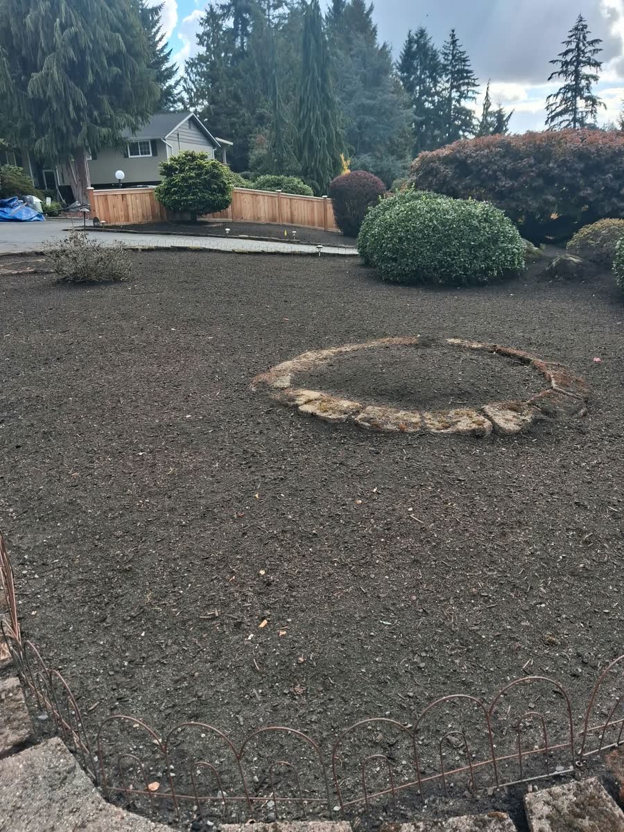 A front yard with fresh dark beds around a stone circle bed and round shrubs.