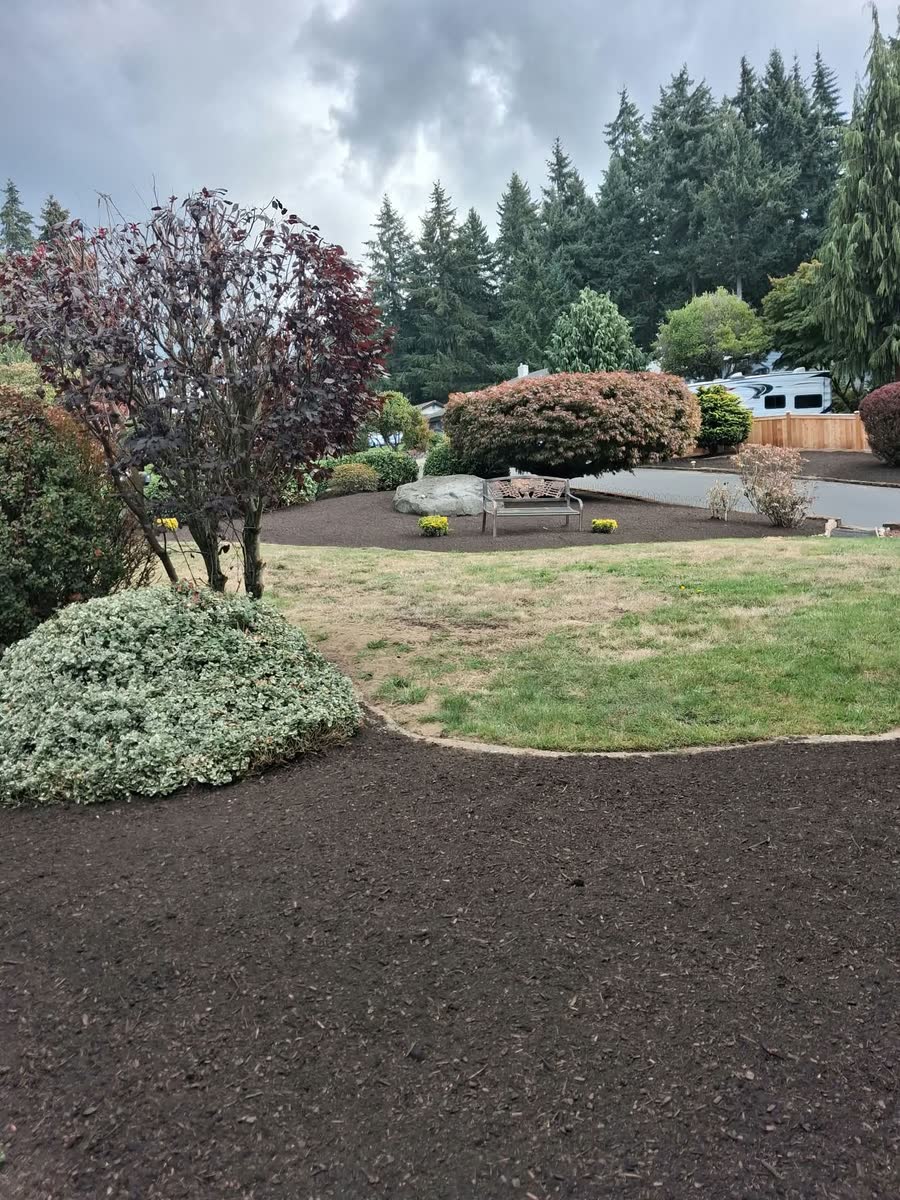 Fresh dark beds edged around a lawn, trimmed shrubs and a bench beyond.