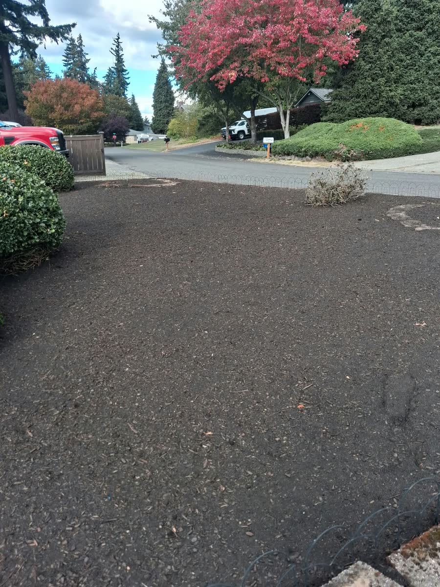 Fresh dark beds along a drive, a red-leafed tree on the corner.