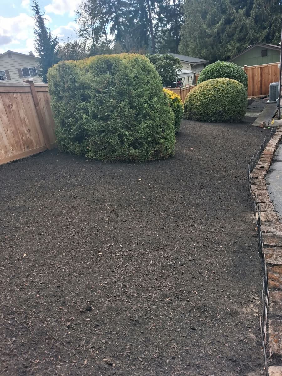 Round trimmed shrubs over fresh dark beds along a wooden fence.