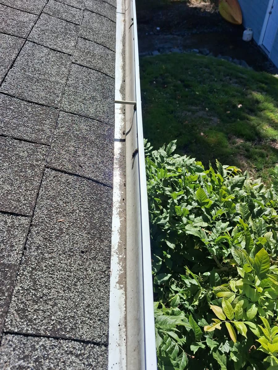 A clean gutter along a shingle roof over a garden bed.