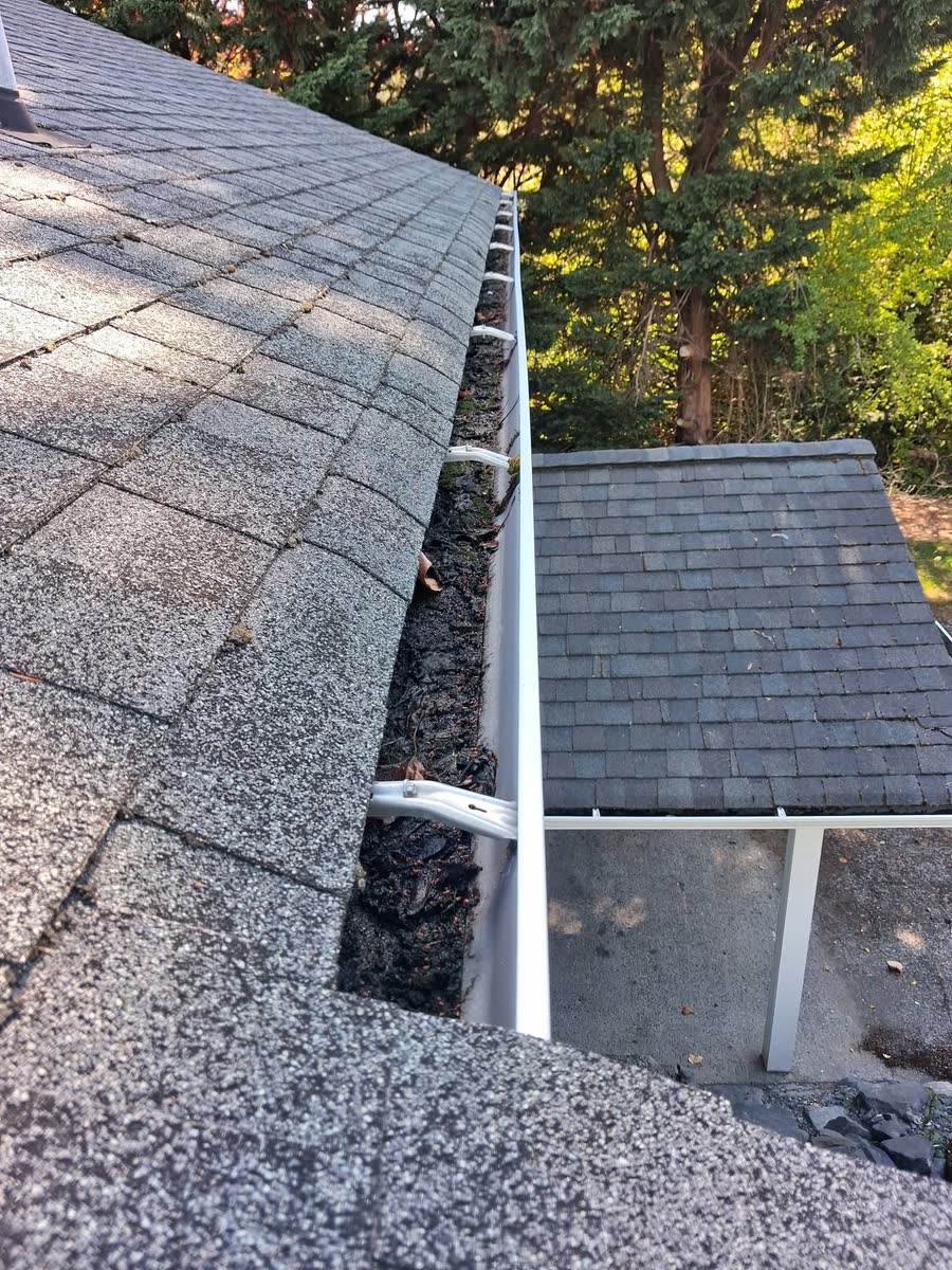A gutter cleaned out along the edge of a shingle roof.