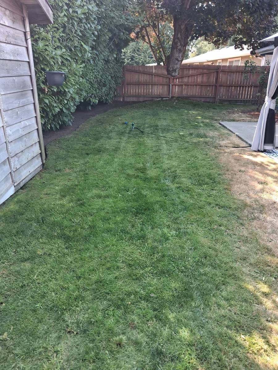 A mowed lawn running to a wooden fence and gate.