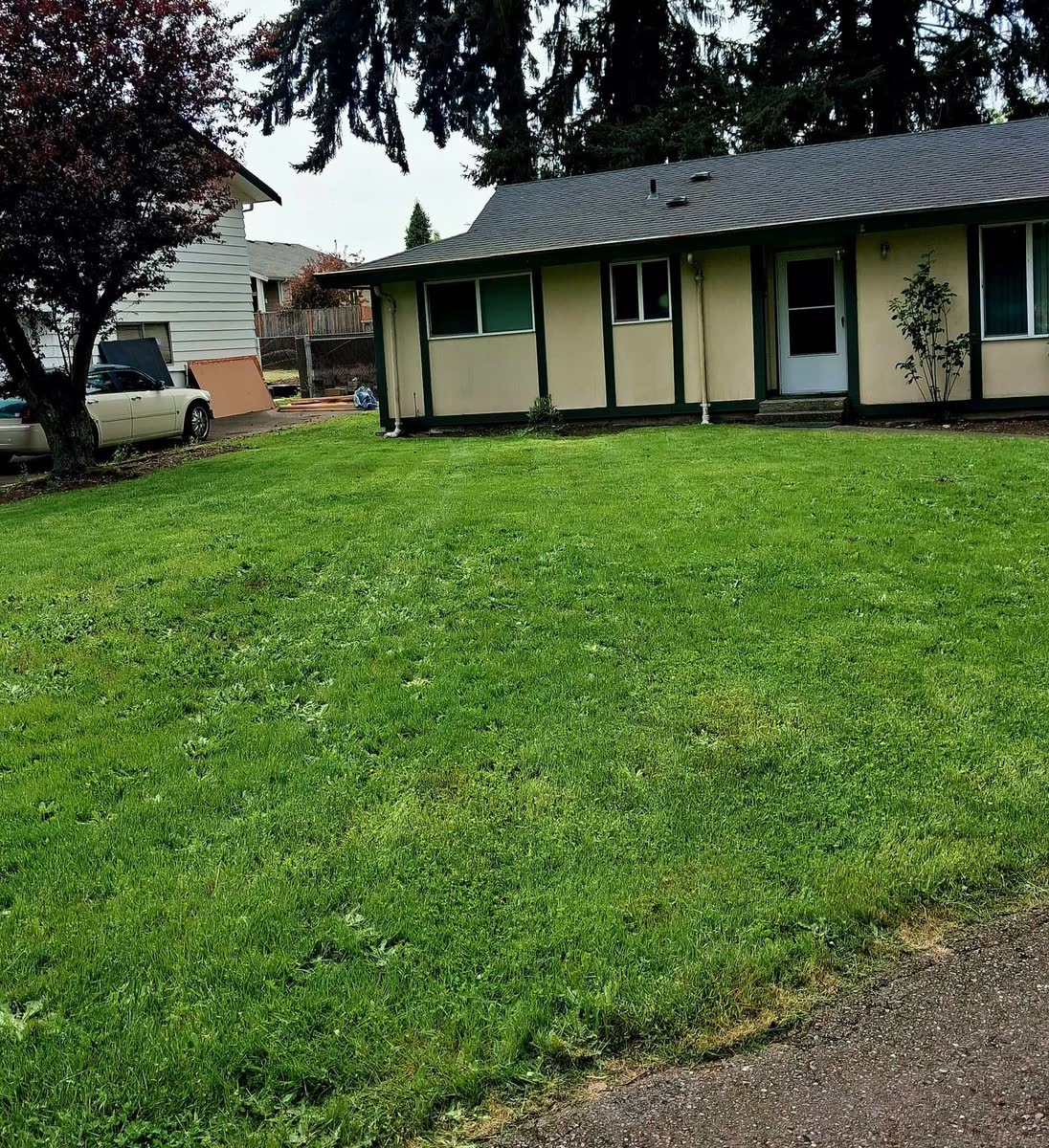 A freshly mowed green lawn in front of a cream house.