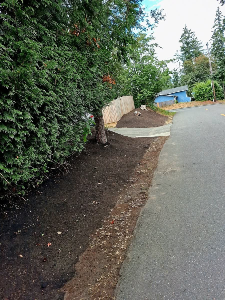 A fresh mulch bed along a paved path and a tall hedge.