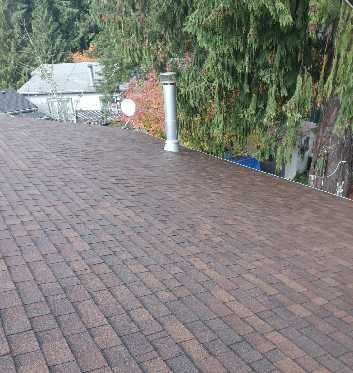 A clean brown shingle roof with its vents, after cleaning.